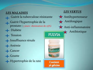 LES MALADIES                                 LES VERTUS
   Guérit la tuberculose résistante          Antihypertenseur
   Guérit l’hypertrophie de la               Antifongique
   prostate ( 3 jours : diminution de 25%)   Anti-inflammatoire
   Diabète                                      Antibiotique
   Tension
   Insuffisance rénale
   Anémie
   Cancer
   Goutte
   Hypertrophie de la rate
 