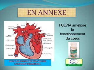 EN ANNEXE
                              FULVIA améliore
                                      le
                               fonctionnement
                                  du cœur.




AVEC LES PRODUITS EMA VOTRE
    SANTE EST PRESERVEE.
 