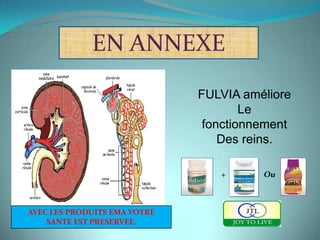 EN ANNEXE
                              FULVIA améliore
                                      Le
                               fonctionnement
                                  Des reins.

                                 +      Ou



AVEC LES PRODUITS EMA VOTRE
    SANTE EST PRESERVEE.
 