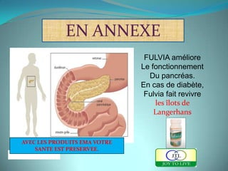EN ANNEXE
                               FULVIA améliore
                              Le fonctionnement
                                Du pancréas.
                              En cas de diabète,
                               Fulvia fait revivre
                                  les îlots de
                                  Langerhans


AVEC LES PRODUITS EMA VOTRE
    SANTE EST PRESERVEE.
 