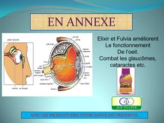 EN ANNEXE
                             Elixir et Fulvia améliorent
                                 Le fonctionnement
                                       De l’oeil.
                              Combat les glaucômes,
                                    cataractes etc.




AVEC LES PRODUITS EMA VOTRE SANTE EST PRESERVEE.
 