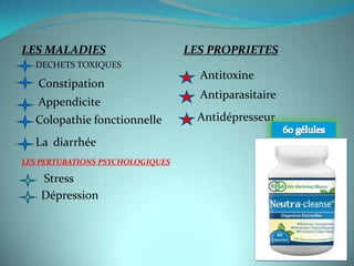 LES MALADIES                      LES PROPRIETES
  DECHETS TOXIQUES
                                    Antitoxine
   Constipation
                                    Antiparasitaire
   Appendicite
  Colopathie fonctionnelle          Antidépresseur

  La diarrhée
LES PERTUBATIONS PSYCHOLOGIQUES

    Stress
    Dépression
 