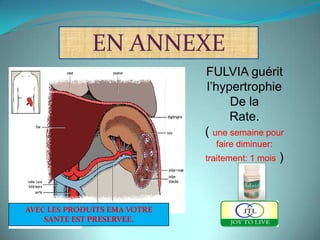EN ANNEXE
                              FULVIA guérit
                              l’hypertrophie
                                    De la
                                    Rate.
                              ( une semaine pour
                                faire diminuer:
                              traitement: 1 mois   )



AVEC LES PRODUITS EMA VOTRE
    SANTE EST PRESERVEE.
 
