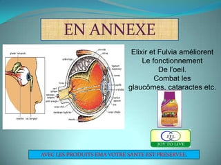 EN ANNEXE
                             Elixir et Fulvia améliorent
                                 Le fonctionnement
                                       De l’oeil.
                                     Combat les
                            glaucômes, cataractes etc.




AVEC LES PRODUITS EMA VOTRE SANTE EST PRESERVEE.
 