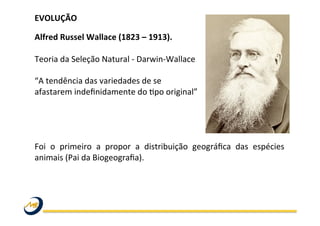 EVOLUÇÃO	
  
	
  
Alfred	
  Russel	
  Wallace	
  (1823	
  –	
  1913).	
  	
  
	
  
Teoria	
  da	
  Seleção	
  Natural	
  -­‐	
  Darwin-­‐Wallace	
  
	
  
“A	
  tendência	
  das	
  variedades	
  de	
  se	
  
afastarem	
  indeﬁnidamente	
  do	
  Wpo	
  original”	
  	
  
	
  
	
  
	
  
	
  
Foi	
   o	
   primeiro	
   a	
   propor	
   a	
   distribuição	
   geográﬁca	
   das	
   espécies	
  
animais	
  (Pai	
  da	
  Biogeograﬁa).	
  
	
   	
   	
   	
   	
   	
   	
   	
   	
  	
  
	
  
	
  
 