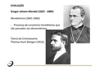 EVOLUÇÃO	
  
	
  
Gregor	
  Johann	
  Mendel	
  (1822	
  -­‐	
  1884)	
  
	
  
Mendelismo	
  (1865-­‐1866)	
  
	
  
-­‐  Presença	
  de	
  caracteres	
  hereditários	
  que	
  
são	
  passados	
  aos	
  descendentes.	
  	
  	
  
	
  
	
  
Teoria	
  do	
  Cromossomo	
  	
  
Thomas	
  Hunt	
  Morgan	
  (1915).	
   	
   	
   	
   	
   	
   	
   	
   	
  	
  
	
  
	
  
 