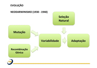 EVOLUÇÃO	
  
	
  
NEODARWINISMO	
  (1930	
  -­‐	
  1940)	
  
	
   	
   	
   	
   	
   	
   	
   	
   	
  	
  
	
  
	
  
Mutação	
  
Recombinação	
  
Gênica	
  
Seleção	
  
Natural	
  
Variabilidade	
   Adaptação	
  
 
