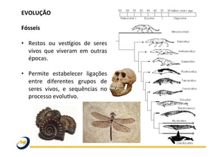EVOLUÇÃO	
  	
  
	
  
Fósseis	
  
	
  
•  Restos	
   ou	
   vesmgios	
   de	
   seres	
  
vivos	
   que	
   viveram	
   em	
   outras	
  
épocas.	
  	
  
•  Permite	
   estabelecer	
   ligações	
  
entre	
   diferentes	
   grupos	
   de	
  
seres	
   vivos,	
   e	
   sequências	
   no	
  
processo	
  evoluWvo.	
  
	
  
 