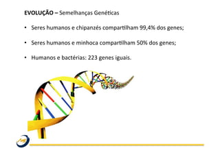 EVOLUÇÃO	
  –	
  Semelhanças	
  GenéWcas	
  
	
  
•  Seres	
  humanos	
  e	
  chipanzés	
  comparWlham	
  99,4%	
  dos	
  genes;	
  
	
  
•  Seres	
  humanos	
  e	
  minhoca	
  comparWlham	
  50%	
  dos	
  genes;	
  
	
  
•  Humanos	
  e	
  bactérias:	
  223	
  genes	
  iguais.	
  
	
  	
  
	
  
	
  
	
  
 