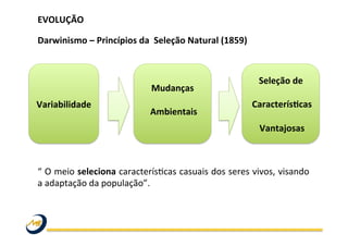 EVOLUÇÃO	
  
	
  
Darwinismo	
  –	
  Princípios	
  da	
  	
  Seleção	
  Natural	
  (1859)	
  
	
  
	
  
	
  
	
  
	
  
	
  
	
  
	
  
	
  
	
  
“	
  O	
  meio	
  seleciona	
  caracterísWcas	
  casuais	
  dos	
  seres	
  vivos,	
  visando	
  
a	
  adaptação	
  da	
  população”.	
  	
  
	
   	
   	
   	
   	
  	
  
	
  
	
  
Variabilidade	
  	
  
Mudanças	
  
	
  
	
  Ambientais	
  	
  
	
  
Seleção	
  de	
  
	
  
	
  Caracterís@cas	
  
	
  
	
  Vantajosas	
  
 