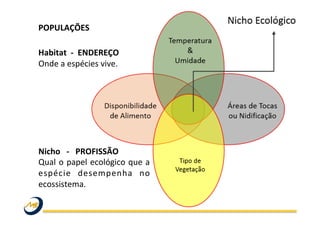  
Habitat	
  	
  -­‐	
  	
  ENDEREÇO	
  	
  	
  
Onde	
  a	
  espécies	
  vive.	
  	
  
	
  
	
  
	
  
	
  
	
  
	
  
	
  
Nicho	
  	
  	
  -­‐	
  	
  	
  PROFISSÃO	
  	
  	
  	
  	
  
Qual	
  o	
  papel	
  ecológico	
  que	
  a	
  
espécie	
   desempenha	
   no	
  
ecossistema.	
  	
  
POPULAÇÕES	
  	
  
	
  
 