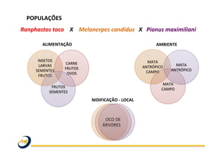 Ranphastos	
  toco	
  	
  	
  	
  X	
  	
  	
  	
  Melanerpes	
  candidus	
  	
  	
  X	
  	
  	
  Pionus	
  maximiliani	
  	
  
POPULAÇÕES	
  	
  
	
  
INSETOS	
  
LARVAS	
  
SEMENTES	
  
FRUTOS	
  
CARNE	
  
FRUTOS	
  	
  
OVOS	
  
	
  
	
  
	
  
	
  
	
  
OCO	
  DE	
  
ÁRVORES	
  
FRUTOS	
  
SEMENTES	
  
MATA	
  
ANTRÓPICO	
  
CAMPO	
  
MATA	
  
CAMPO	
  
MATA	
  
ANTRÓPICO	
  
ALIMENTAÇÃO	
   AMBIENTE	
  
NIDIFICAÇÃO	
  -­‐	
  LOCAL	
  
 