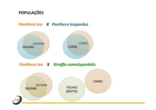 Panthera	
  leo	
  	
  	
  	
  X	
  	
  	
  Panthera	
  leopardus	
  
POPULAÇÕES	
  	
  
	
  
SAVANA	
  
SAVANA	
  
CARNE	
  
CARNE	
  
Panthera	
  leo	
  	
  	
  	
  X	
  	
  	
  	
  Giraﬀa	
  camelopardalis	
  	
  
SAVANA	
  
SAVANA	
  
CARNE	
  
FOLHAS	
  
BROTOS	
  
 