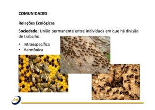 COMUNIDADES	
  	
  
	
  
Relações	
  Ecológicas	
  
Sociedade:	
  União	
  permanente	
  entre	
  indivíduos	
  em	
  que	
  há	
  divisão	
  
de	
  trabalho.	
  
•  Intraespecíﬁca	
  
•  Harmônica	
  
 