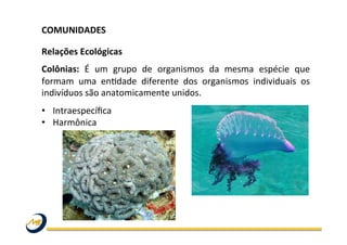 COMUNIDADES	
  	
  
	
  
Relações	
  Ecológicas	
  
Colônias:	
   É	
   um	
   grupo	
   de	
   organismos	
   da	
   mesma	
   espécie	
   que	
  
formam	
   uma	
   enOdade	
   diferente	
   dos	
   organismos	
   individuais	
   os	
  
indivíduos	
  são	
  anatomicamente	
  unidos.	
  
•  Intraespecíﬁca	
  
•  Harmônica	
  
 