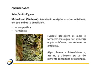 COMUNIDADES	
  	
  
	
  
Relações	
  Ecológicas	
  
Mutualismo	
   (Simbiose):	
   Associação	
   obrigatória	
   entre	
   indivíduos,	
  
em	
  que	
  ambos	
  se	
  beneﬁciam.	
  
•  Interespecíﬁca	
  
•  Harmônica	
  
Fungos:	
   protegem	
   as	
   algas	
   e	
  
fornecem-­‐lhes	
  água,	
  sais	
  minerais	
  
e	
   gás	
   carbônico,	
   que	
   reOram	
   do	
  
ambiente.	
  	
  
	
  
Algas:	
   fazem	
   a	
   fotossíntese	
   e,	
  
assim,	
   produzem	
   parte	
   do	
  
alimento	
  consumido	
  pelos	
  fungos.	
  
 
