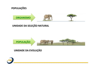 UNIDADE	
  DA	
  SELEÇÃO	
  NATURAL	
  
ORGANISMO	
  
UNIDADE	
  DA	
  EVOLUÇÃO	
  
POPULAÇÃO	
  
POPULAÇÕES	
  	
  
	
  
 