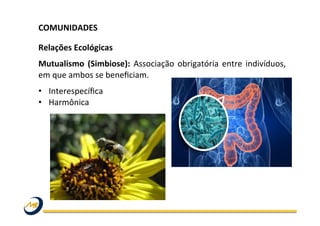 COMUNIDADES	
  	
  
	
  
Relações	
  Ecológicas	
  
Mutualismo	
   (Simbiose):	
   Associação	
   obrigatória	
   entre	
   indivíduos,	
  
em	
  que	
  ambos	
  se	
  beneﬁciam.	
  
•  Interespecíﬁca	
  
•  Harmônica	
  
 