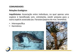 COMUNIDADES	
  	
  
	
  
Relações	
  Ecológicas	
  
Inquilinismo:	
   Associação	
   entre	
   indivíduos,	
   na	
   qual	
   apenas	
   uma	
  
espécie	
   é	
   beneﬁciada	
   sem,	
   entretanto,	
   exisOr	
   prejuízo	
   para	
   a	
  
outra	
  espécie	
  associada	
  (ex.	
  Fieraster/pepino	
  do	
  mar,	
  bromélia).	
  
•  Interespecíﬁca	
  
•  Harmônica	
  
 