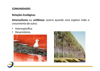 COMUNIDADES	
  	
  
	
  
Relações	
  Ecológicas	
  
Amensalismo	
   ou	
   anLbiose:	
   ocorre	
   quando	
   uma	
   espécie	
   inibe	
   o	
  
crescimento	
  de	
  outra.	
  	
  
•  Interespecíﬁca	
  
•  Desarmônica	
  
	
  
	
  
 