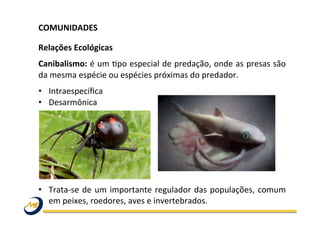 COMUNIDADES	
  	
  
	
  
Relações	
  Ecológicas	
  
Canibalismo:	
  é	
  um	
  Opo	
  especial	
  de	
  predação,	
  onde	
  as	
  presas	
  são	
  
da	
  mesma	
  espécie	
  ou	
  espécies	
  próximas	
  do	
  predador.	
  	
  
•  Intraespecíﬁca	
  
•  Desarmônica	
  
•  Trata-­‐se	
  de	
  um	
  importante	
  regulador	
  das	
  populações,	
  comum	
  
em	
  peixes,	
  roedores,	
  aves	
  e	
  invertebrados.	
  	
  
 