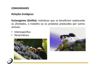 COMUNIDADES	
  	
  
	
  
Relações	
  Ecológicas	
  
	
  
Esclavagismo	
  (Sinﬁlia):	
  indivíduos	
  que	
  se	
  beneﬁciam	
  explorando	
  
as	
   aOvidades,	
   o	
   trabalho	
   ou	
   os	
   produtos	
   produzidos	
   por	
   outros	
  
animais.	
   	
  	
  
•  Interespecíﬁca	
  
•  Desarmônica	
  
 