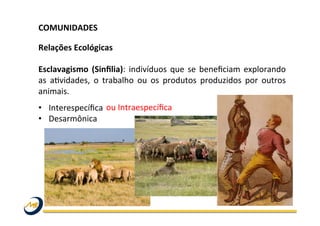 COMUNIDADES	
  	
  
	
  
Relações	
  Ecológicas	
  
	
  
Esclavagismo	
  (Sinﬁlia):	
  indivíduos	
  que	
  se	
  beneﬁciam	
  explorando	
  
as	
   aOvidades,	
   o	
   trabalho	
   ou	
   os	
   produtos	
   produzidos	
   por	
   outros	
  
animais.	
   	
  	
  
•  Interespecíﬁca	
  	
  
•  Desarmônica	
  
ou	
  Intraespecíﬁca	
  
 