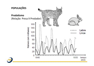  
PredaLsmo	
  
(Relação	
  	
  Presa	
  X	
  Predador)	
  
	
  
	
  
POPULAÇÕES	
  	
  
	
  
 