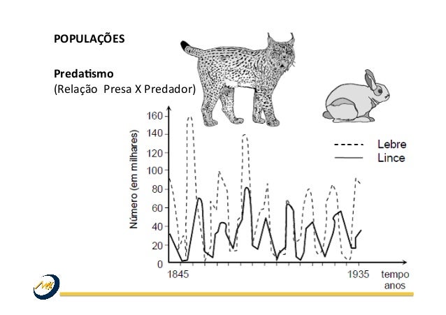 Relações Ecológicas