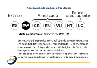 Conservação	
  de	
  Espécies	
  e	
  Populações	
  
ExMnta	
  na	
  natureza	
  ou	
  ExDnct	
  in	
  the	
  Wild	
  (EW):	
  	
  
	
  
Uma	
  espécie	
  é	
  presumida	
  como	
  tal	
  quando	
  estudos	
  exaus?vos	
  
em	
   seus	
   habitats	
   conhecido	
   e/ou	
   esperados,	
   em	
   momentos	
  
apropriados,	
   ao	
   longo	
   de	
   sua	
   distribuição	
   histórica,	
   não	
  
conseguem	
  encontrar	
  um	
  único	
  indivíduo.	
  	
  
São	
   espécies	
   conhecidas	
   por	
   sobreviver	
   apenas	
   em	
   ca?veiro	
  
ou	
  como	
  uma	
  população	
  naturalizada	
  fora	
  de	
  sua	
  área	
  natural.	
  
 