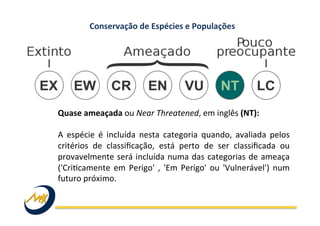 Conservação	
  de	
  Espécies	
  e	
  Populações	
  
Quase	
  ameaçada	
  ou	
  Near	
  Threatened,	
  em	
  inglês	
  (NT):	
  	
  
	
  
A	
   espécie	
   é	
   incluída	
   nesta	
   categoria	
   quando,	
   avaliada	
   pelos	
  
critérios	
   de	
   classiﬁcação,	
   está	
   perto	
   de	
   ser	
   classiﬁcada	
   ou	
  
provavelmente	
  será	
  incluída	
  numa	
  das	
  categorias	
  de	
  ameaça	
  
('Cri?camente	
  em	
  Perigo'	
  ,	
  'Em	
  Perigo'	
  ou	
  'Vulnerável')	
  num	
  
futuro	
  próximo.	
  
 