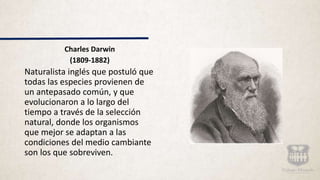 Charles Darwin
(1809-1882)
Naturalista inglés que postuló que
todas las especies provienen de
un antepasado común, y que
evolucionaron a lo largo del
tiempo a través de la selección
natural, donde los organismos
que mejor se adaptan a las
condiciones del medio cambiante
son los que sobreviven.
 