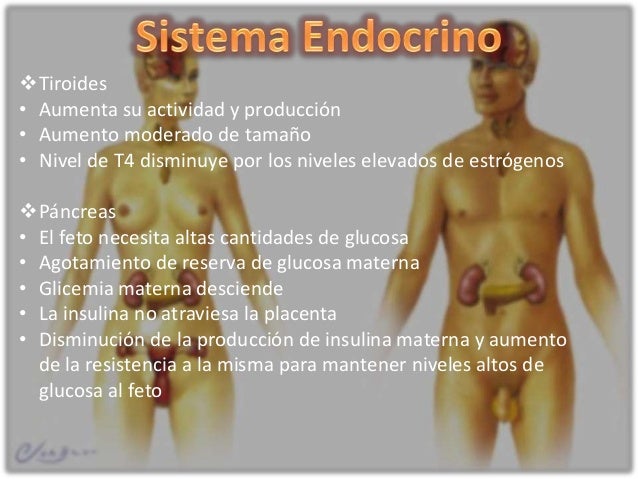 Las medicinas para el tratamiento de la osteocondrosis sheynogo del departamento