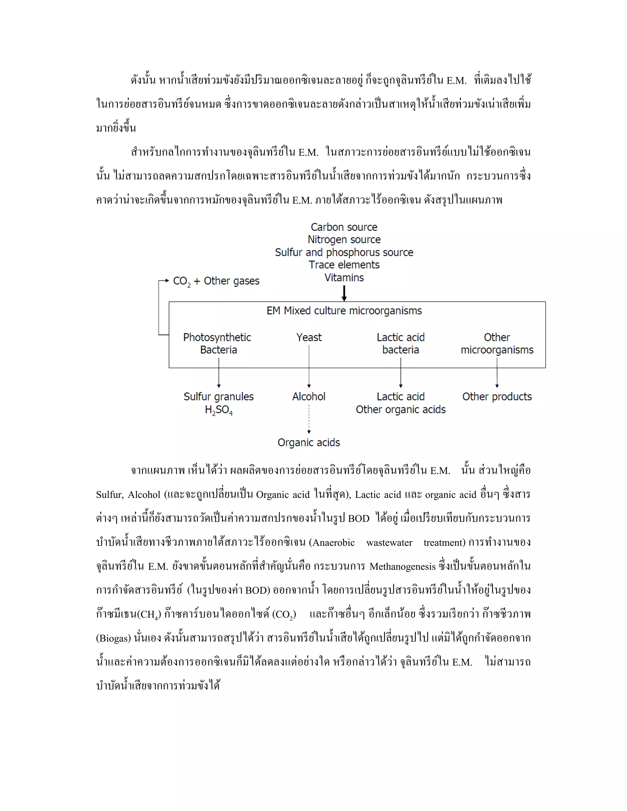 ดังนั้น หากนํ้าเสี ยท่วมขังยังมีปริ มาณออกซิ เจนละลายอยู่ ก็จะถูกจุลินทรี ยใน E.M. ที่เติมลงไปใช้
                                                                                   ์
ในการย่อยสารอินทรี ยจนหมด ซึ่ งการขาดออกซิ เจนละลายดังกล่าวเป็ นสาเหตุให้น้ าเสี ยท่วมขังเน่าเสี ยเพิ่ม
                    ์                                                       ํ
มากยิงขึ้น
     ่
        สําหรับกลไกการทํางานของจุลินทรี ยใน E.M. ในสภาวะการย่อยสารอินทรี ยแบบไม่ใช้ออกซิ เจน
                                         ์                                ์
นั้น ไม่สามารถลดความสกปรกโดยเฉพาะสารอินทรี ยในนํ้าเสี ยจากการท่วมขังได้มากนัก กระบวนการซึ่ ง
                                            ์
คาดว่าน่าจะเกิดขึ้นจากการหมักของจุลินทรี ยใน E.M. ภายใต้สภาวะไร้ออกซิเจน ดังสรุ ปในแผนภาพ
                                          ์




        จากแผนภาพ เห็นได้ว่า ผลผลิตของการย่อยสารอินทรี ยโดยจุลินทรี ยใน E.M. นั้น ส่ วนใหญ่คือ
                                                        ์            ์
Sulfur, Alcohol (และจะถูกเปลี่ยนเป็ น Organic acid ในที่สุด), Lactic acid และ organic acid อื่นๆ ซึ่ งสาร
ต่างๆ เหล่านี้กยงสามารถวัดเป็ นค่าความสกปรกของนํ้าในรู ป BOD ได้อยู่ เมื่อเปรี ยบเทียบกับกระบวนการ
               ็ั
บําบัดนํ้าเสี ยทางชี วภาพภายใต้สภาวะไร้ออกซิ เจน (Anaerobic wastewater treatment) การทํางานของ
จุลินทรี ยใน E.M. ยังขาดขั้นตอนหลักที่สาคัญนันคือ กระบวนการ Methanogenesis ซึ่ งเป็ นขั้นตอนหลักใน
          ์                            ํ     ่
                                                                                             ่
การกําจัดสารอินทรี ย ์ (ในรู ปของค่า BOD) ออกจากนํ้า โดยการเปลี่ยนรู ปสารอินทรี ยในนํ้าให้อยูในรู ปของ
                                                                                 ์
ก๊าซมีเธน(CH4) ก๊าซคาร์ บอนไดออกไซด์ (CO2) และก๊าซอื่นๆ อีกเล็กน้อย ซึ่ งรวมเรี ยกว่า ก๊าซชี วภาพ
(Biogas) นันเอง ดังนั้นสามารถสรุ ปได้ว่า สารอินทรี ยในนํ้าเสี ยได้ถูกเปลี่ยนรู ปไป แต่มิได้ถูกกําจัดออกจาก
           ่                                        ์
นํ้าและค่าความต้องการออกซิ เจนก็มิได้ลดลงแต่อย่างใด หรื อกล่าวได้ว่า จุลินทรี ยใน E.M. ไม่สามารถ
                                                                               ์
บําบัดนํ้าเสี ยจากการท่วมขังได้
 