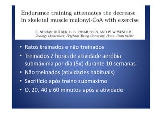 • Ratos treinados e não treinados
• Treinados 2 horas de atividade aeróbia• Treinados 2 horas de atividade aeróbia
submáxima por dia (5x) durante 10 semanas
• Não treinados (atividades habituais)
• Sacrifício após treino submáximo
• O, 20, 40 e 60 minutos após a atividade
 