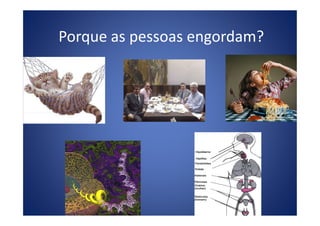 Porque as pessoas engordam?
 