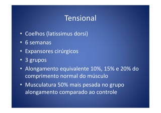 Tensional
• Coelhos (latissimus dorsi)
• 6 semanas
• Expansores cirúrgicos
• 3 grupos• 3 grupos
• Alongamento equivalente 10%, 15% e 20% do
comprimento normal do músculo
• Musculatura 50% mais pesada no grupo
alongamento comparado ao controle
 