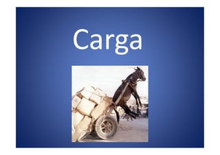 Carga
 