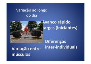 Variação ao longo
do dia
Avanço rápidoAvanço rápido
cargas (iniciantes)cargas (iniciantes)
DiferençasDiferenças
interinter--individuaisindividuaisVariação entreVariação entre
músculosmúsculos
 