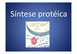 Síntese protéica
 