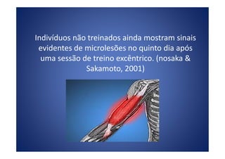 Indivíduos não treinados ainda mostram sinais
evidentes de microlesões no quinto dia após
uma sessão de treino excêntrico. (nosaka &
Sakamoto, 2001)
 
