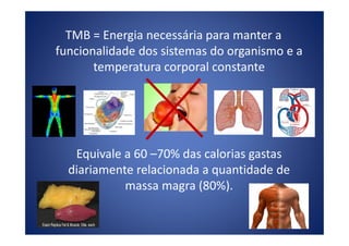 TMB = Energia necessária para manter a
funcionalidade dos sistemas do organismo e a
temperatura corporal constante
Equivale a 60 –70% das calorias gastas
diariamente relacionada a quantidade de
massa magra (80%).
 