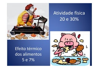 Atividade física
20 e 30%
Efeito térmico
dos alimentos
5 e 7%
 