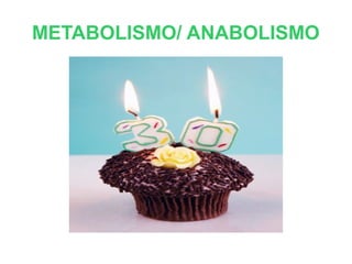 METABOLISMO/ ANABOLISMO