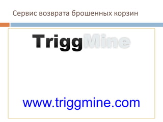 Сервис возврата брошенных корзин
www.triggmine.com
 