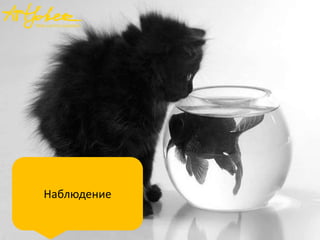 Наблюдение

 