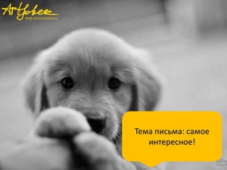 Тема письма: самое
интересное!

 