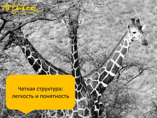 Четкая структура:
легкость и понятность

 