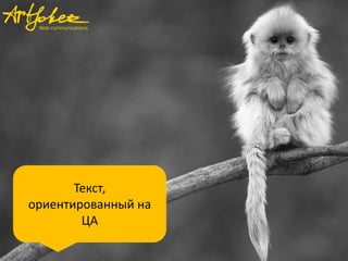 Текст,
ориентированный на
ЦА

 
