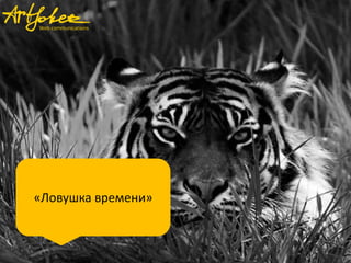 «Ловушка времени»

 